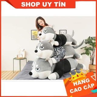 Chó Husky Bông, Chó Bông Huskey