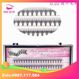 Mi chùm Cc010  (chân to)