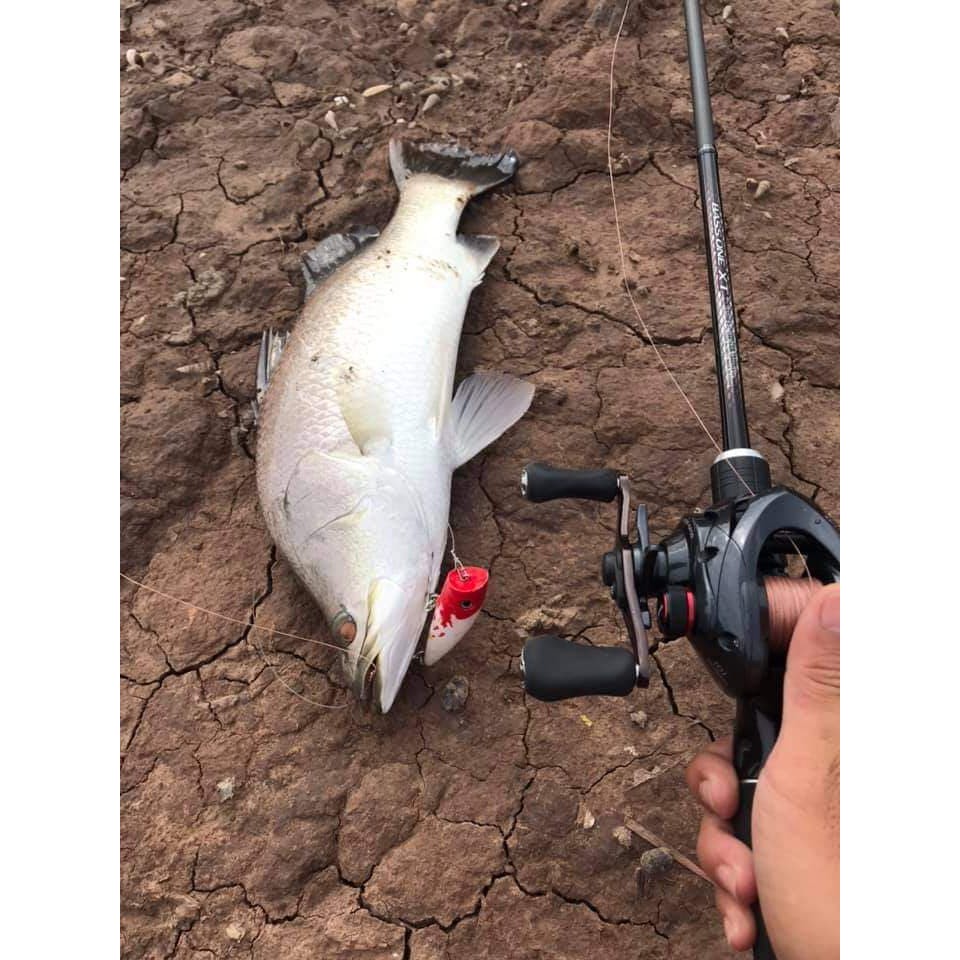 Mồi câu chẽm tầng mặt nước Waterpoper 10gram HKN Fishing