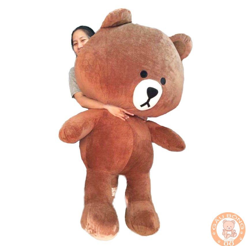 ( Rẻ nhất shopee ) Gấu Bông Brown khổng lồ khổ vải 1m6- Hàng cao cấp - TeddyShop