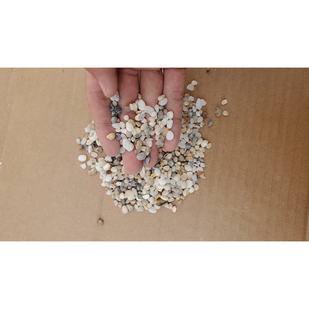 100g sạn suối trang trí, trải nền bể thủy sinh cá cảnh