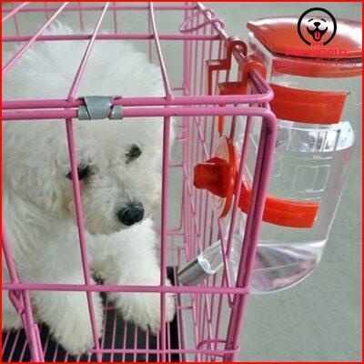 Bình nước bi treo chuồng tự động cao cấp - dung tich 350ml và 550ml