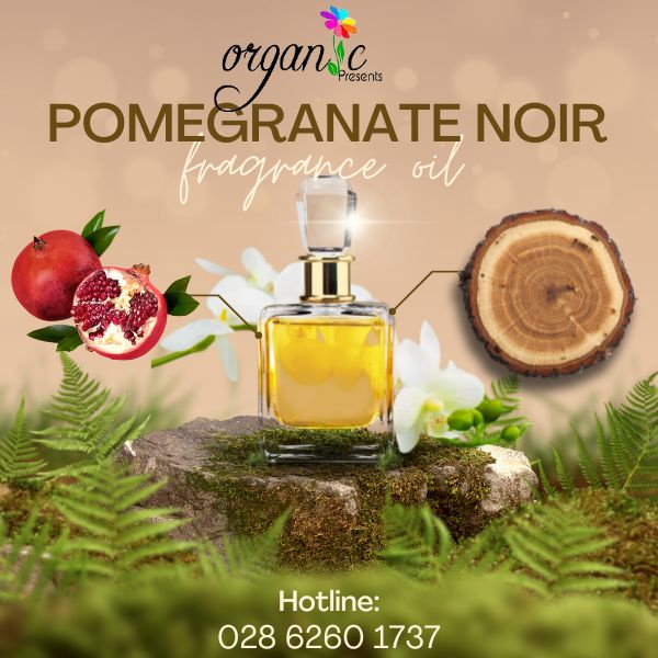 HƯƠNG POMEGRANATE NOIR by JO MALONE