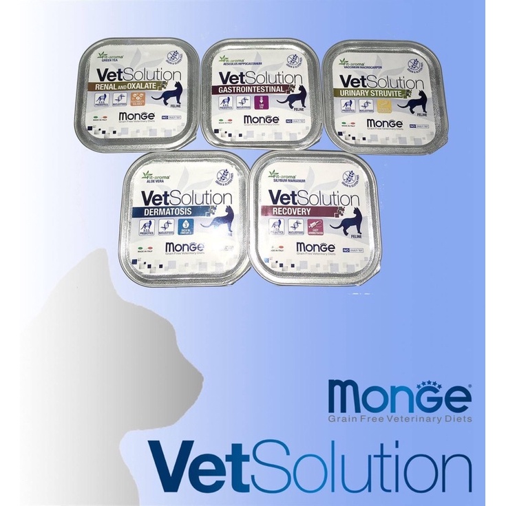 Pate hỗ trợ phục hồi Monge Vet Solution dành cho Mèo - Monge Vet Solution for Cats