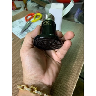 Bộ đèn sưởi sứ 50w kèm bộ dây.