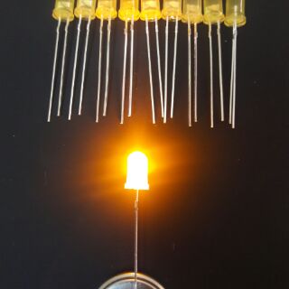 10 bóng led 5mm phủ màu vàng