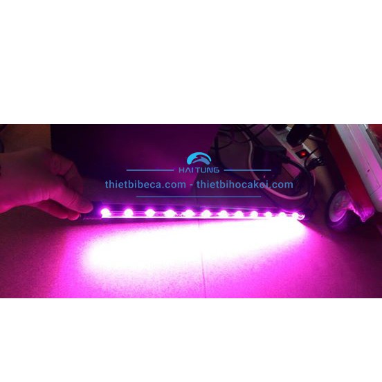 Đèn Led Caibao T4, Trang Trí Bể Cá Với Các Màu Trắng, Xanh, Hồng Và 3 Màu. Có Công Tắc Tắt Bật Đèn