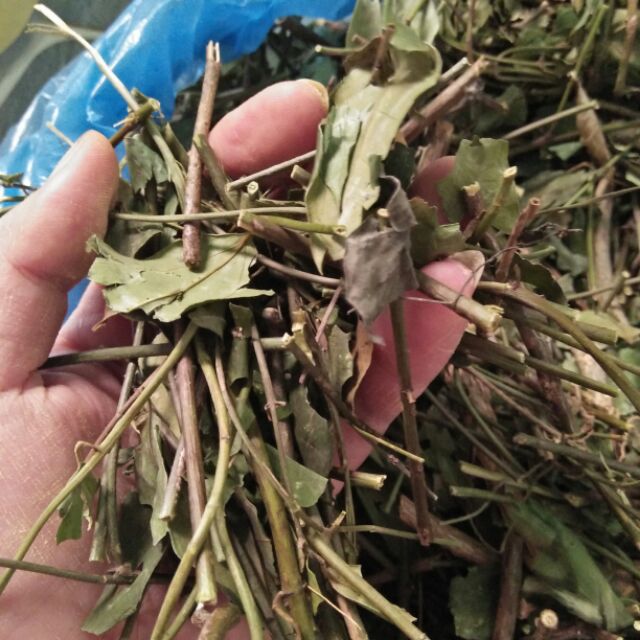 Nửa kí chè vằng lá sẻ chặt