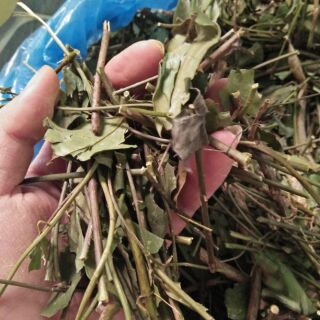 Nửa kí chè vằng lá sẻ chặt