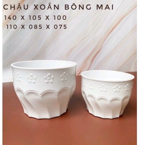 Chậu nhựa giả sứ xịn Xoắn Bông mai 2 size trồng sen đá, xương rồng, hoa, cây tiểu cảnh để bàn siêu xinh