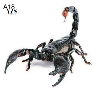 Sticker hình bò sát 3D chuyên dụng trang trí ô tô