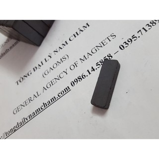 Nam châm Ferrite 30x10x5mm