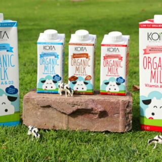 Sữa bò hữu cơ Koita dâu 200ml