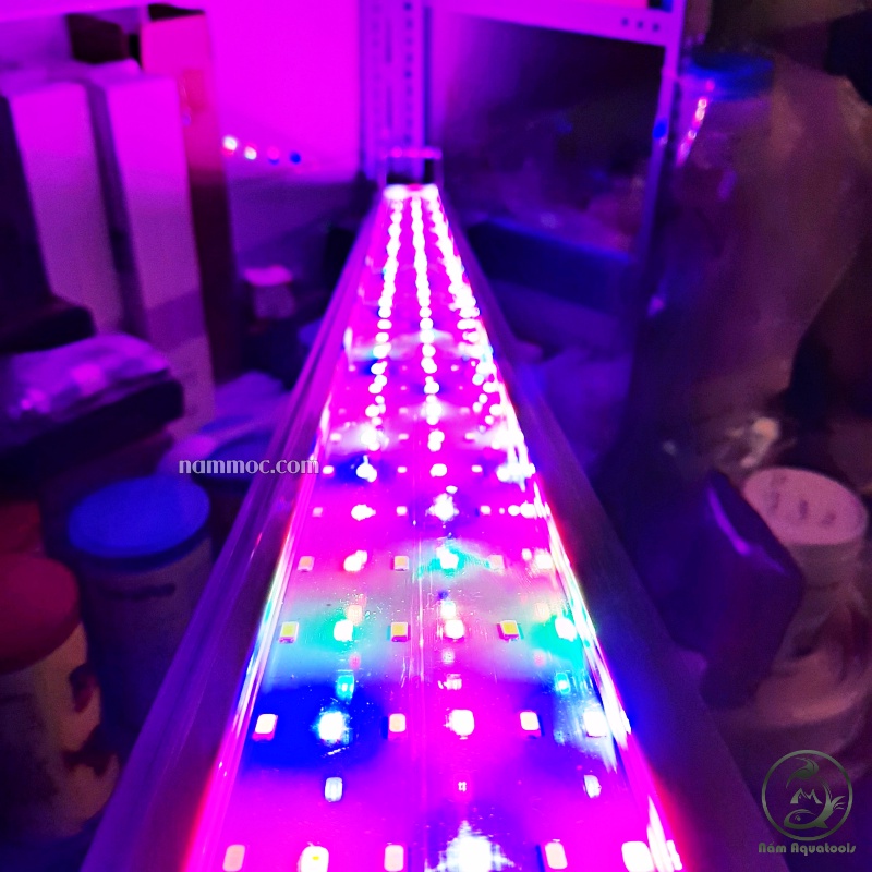 Đèn LED 6 Dãy Siêu Sáng | Led KAOKUI Ánh Sáng 10.000K Cho Hồ Thuỷ Sinh