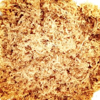 Ruốc Thịt Heo Sạch