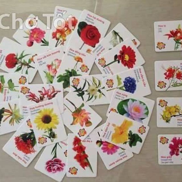 THẺ HỌC SONG NGỮ 16 CHỦ ĐỀ CHO BÉ YÊU (GIÁ RẺ CỰC CỰC ĐỈNH)