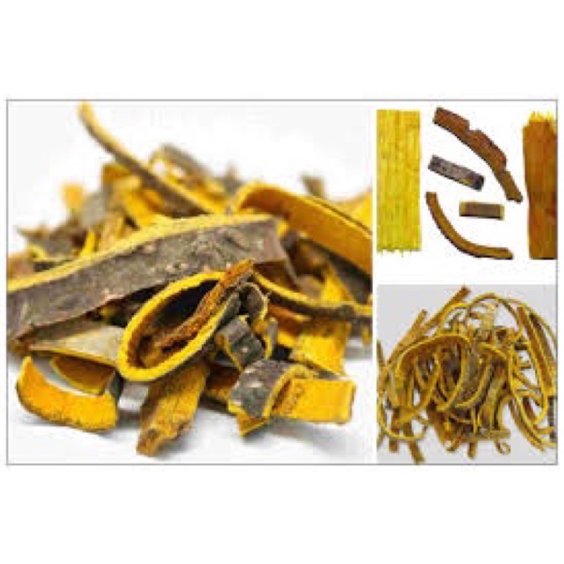 HOÀNG BÁ BẮC LOẠI 1(mới, vàng ươm, thái phiến) [500g]