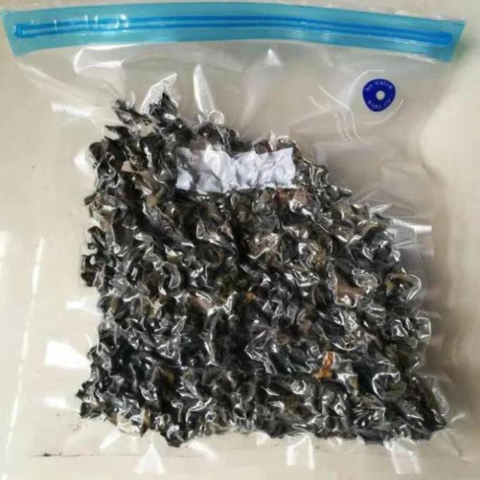 Máy hút chân không thực phẩm