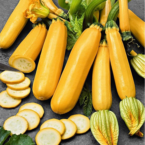 Hạt giống bí ngòi vàng