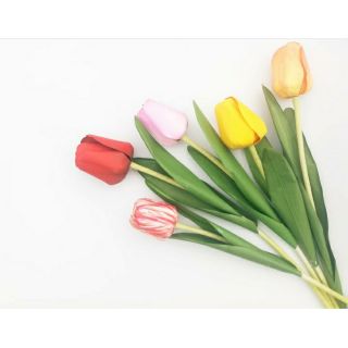 Set mẫu cánh hoa tulip giấy mỹ thuật