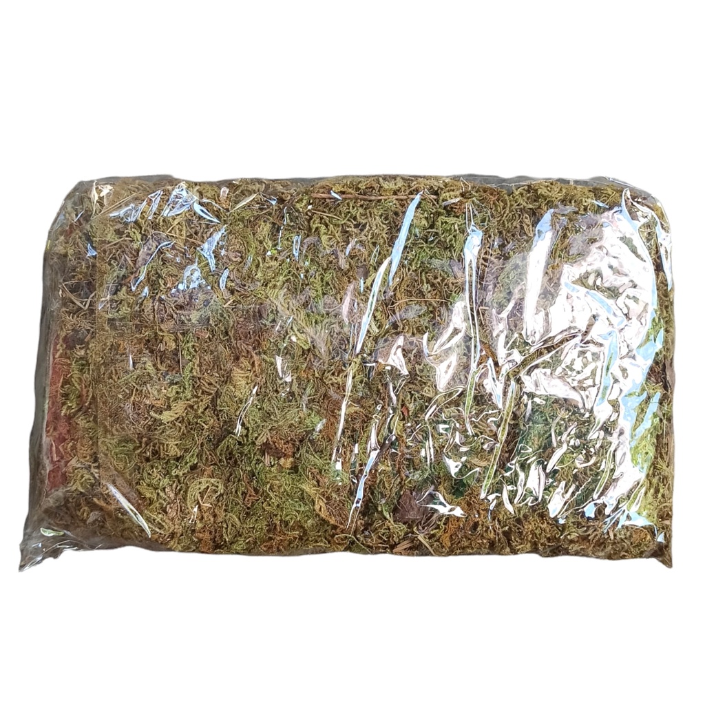 Rêu rừng NEWZITA đóng gói 100g trồng lan và cây kiểng