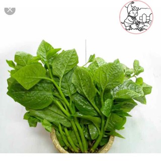 HẠT MỒNG TƠI XANH - GÓI 20 GRAM