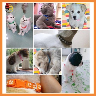 Vòng đeo cổ phát sáng cho thú cưng