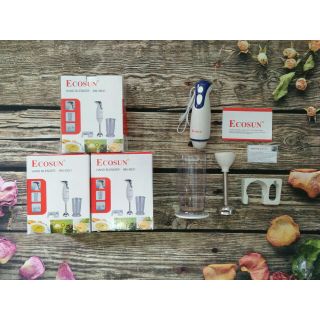 Máy xay cầm tay Ecosun
