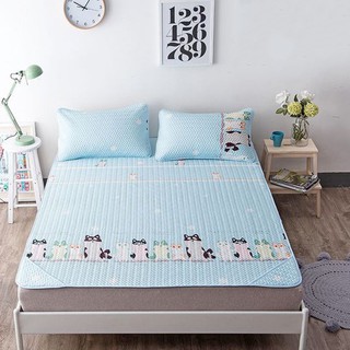 Chiếu điều hòa trải giường 160 cm