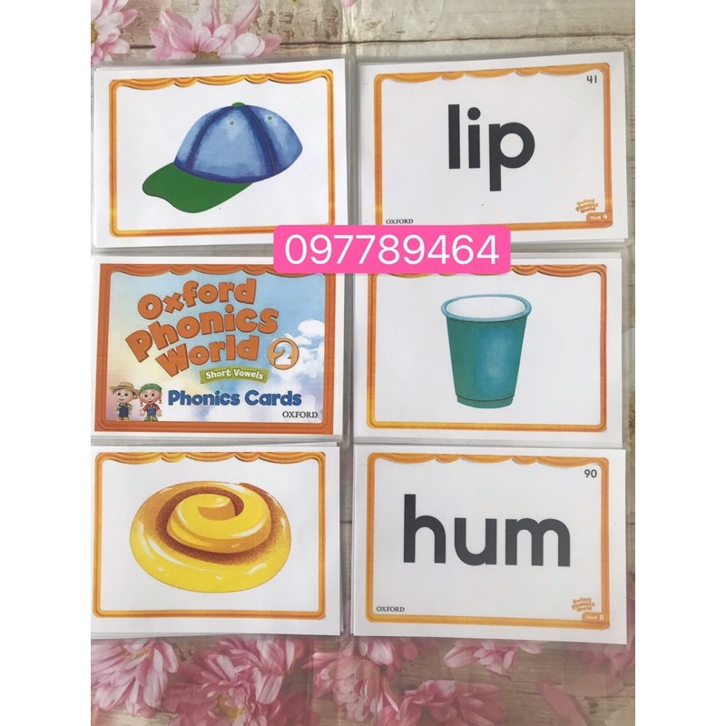 Flashcards Oxford Phonics World 2- Thẻ size A5 ép plastics bền đẹp☘️giáo cụ đồ dùng dạy học Tiếng Anh❤️