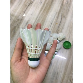 Ống Cầu Lông Hải Yến