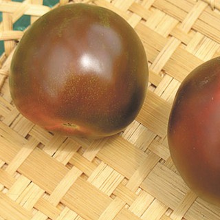 Hạt giống cà chua bi socola - Gói 30 Hạt - STHG2
