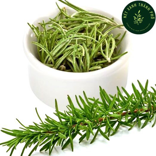 Hạt giống Hương Thảo Rosemary, 10 hạt