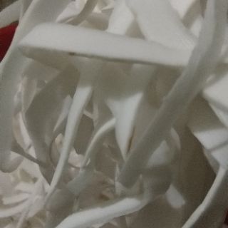 SALE SỐC máy nạo dừa