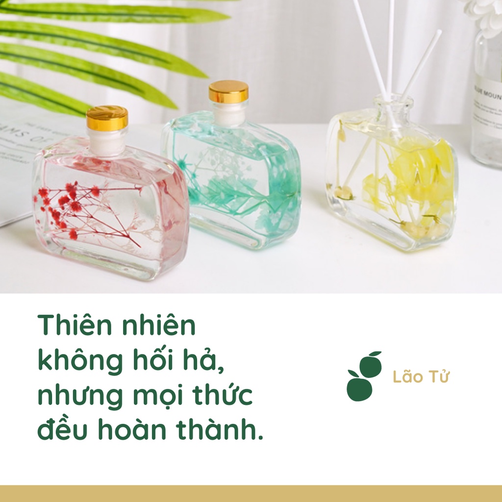 Tinh Dầu Thơm Phòng Lọ Khuếch Tán Nước Hoa WIACHNN Thơm Để Phòng Thiên Nhiên Thơm Phòng Ngủ 100ML KT02