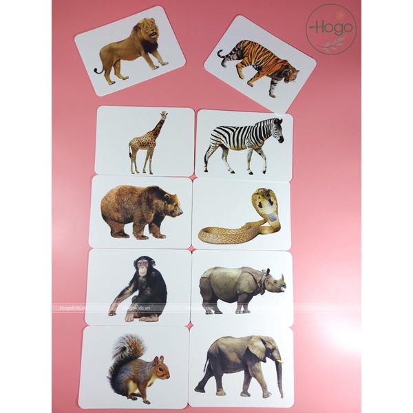 [HÀNG CHUẨN] Bộ Thẻ Học Thông Minh Flashcard Chất Lượng Cao Size Lớn