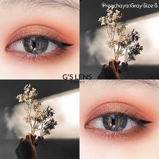 3.25 ĐỘ GRAY 20 Mẫu Kính Áp Tròng Cận Size S