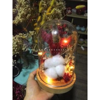 Chụp thuỷ tinh decor kèm đèn led