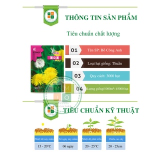 Hạt giống bồ công anh