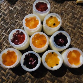 Hũ sữa chua (combo 100 hũ)
