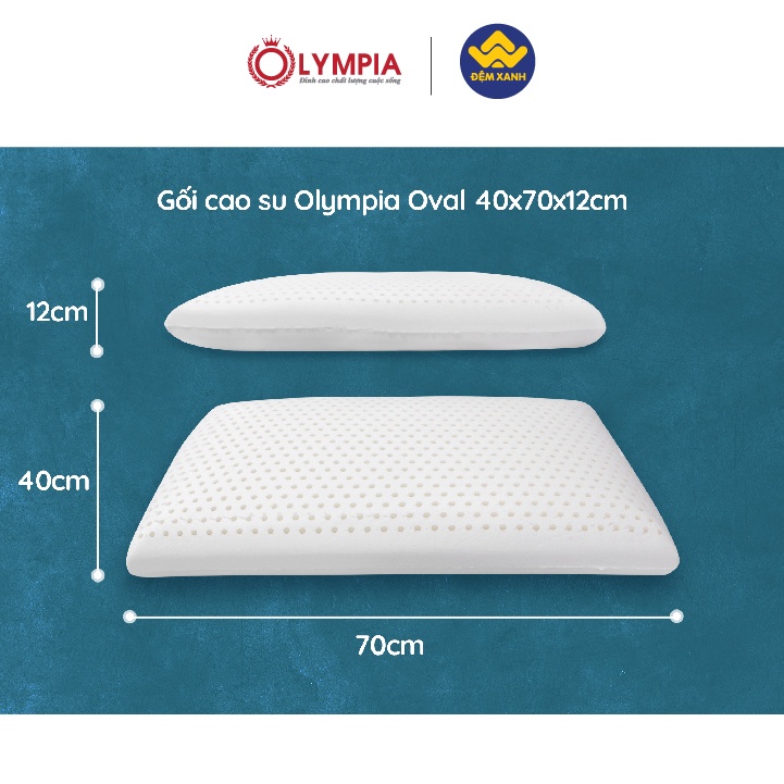 Gối cao su Olympia Oval 40x70x12