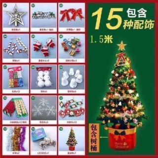Cây thông noel