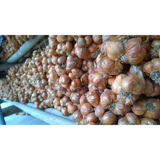 1kg hành ta khô - hành khô- hải dương