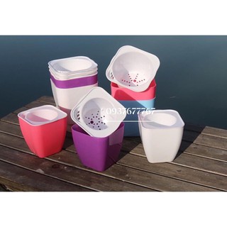 chậu trồng thông minh 2 lớp