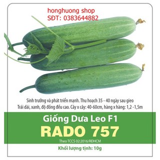 Hạt giống dưa leo lai F1