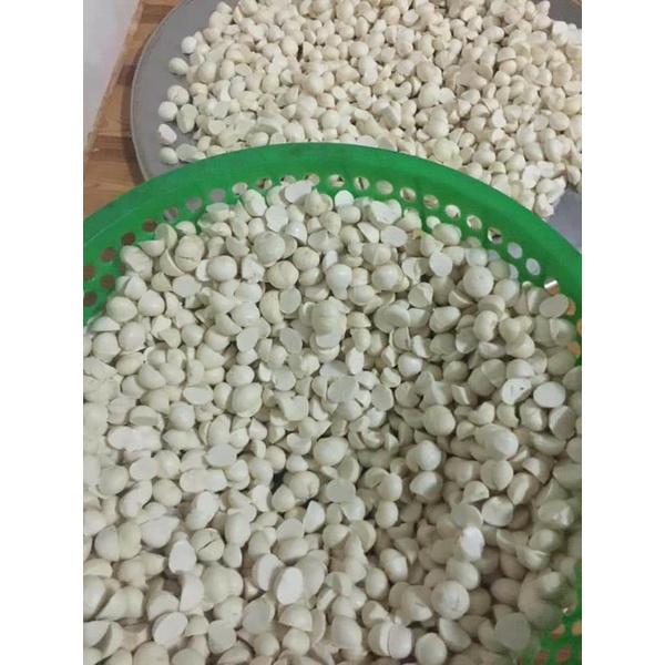 350g Nhân mắc ca ăn liền làm sữa hạt ngũ cốc (vụ mới tháng 6.2021 hình thật)