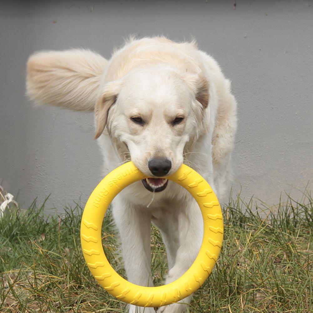 Đồ Chơi Kéo Vòng Chống Cắn Tương Tác Thú Cưng Cỡ Nhỏ