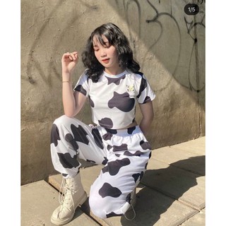 Áo thun croptop bò sữa