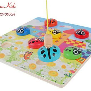 Câu bọ dừa