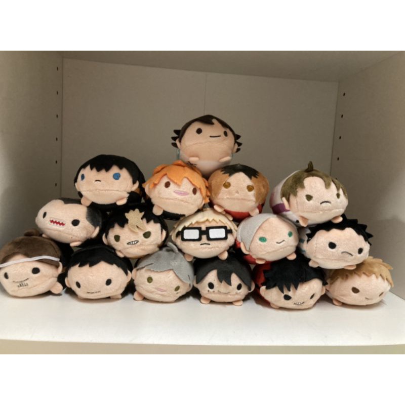 |ĐH|ĐẶT TRƯỚC HAIKYUU BÔNG NORU FULL TAG